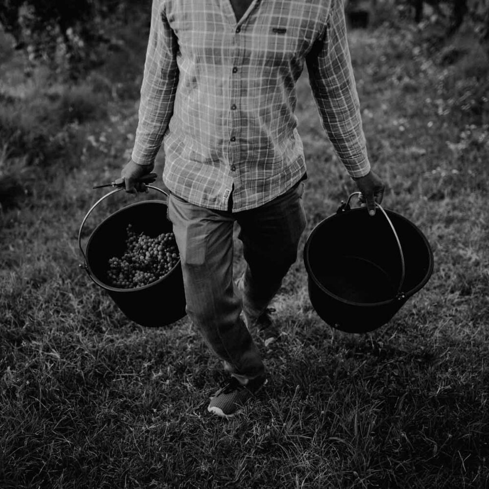 caccianemici-quadrata-11-1200