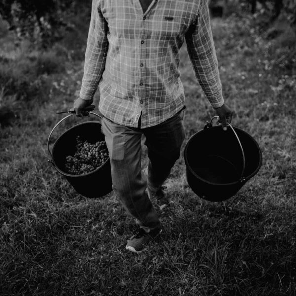 caccianemici-quadrata-11-1200