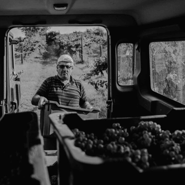 caccianemici-quadrata-17-1200