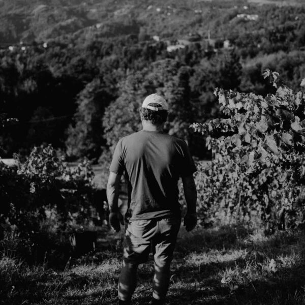 caccianemici-quadrata-2-1200