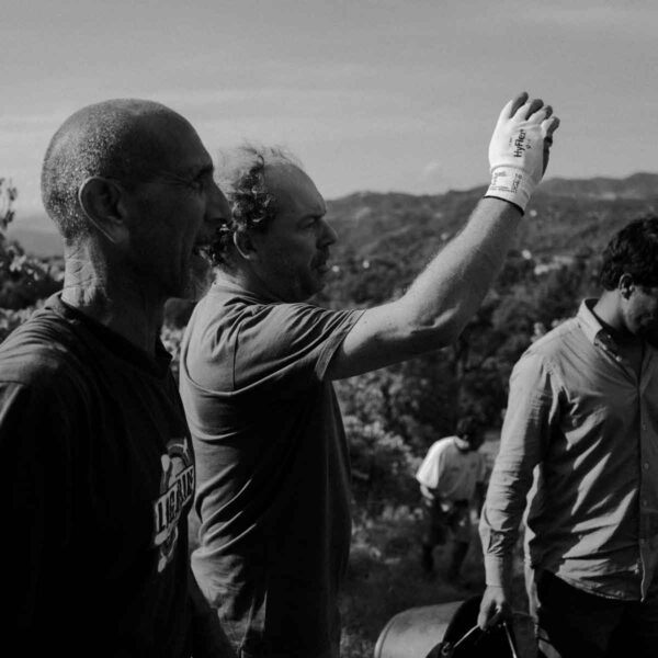 caccianemici-quadrata-3-1200