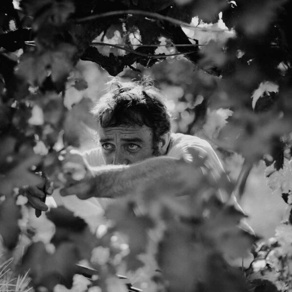 caccianemici-quadrata-4-1200