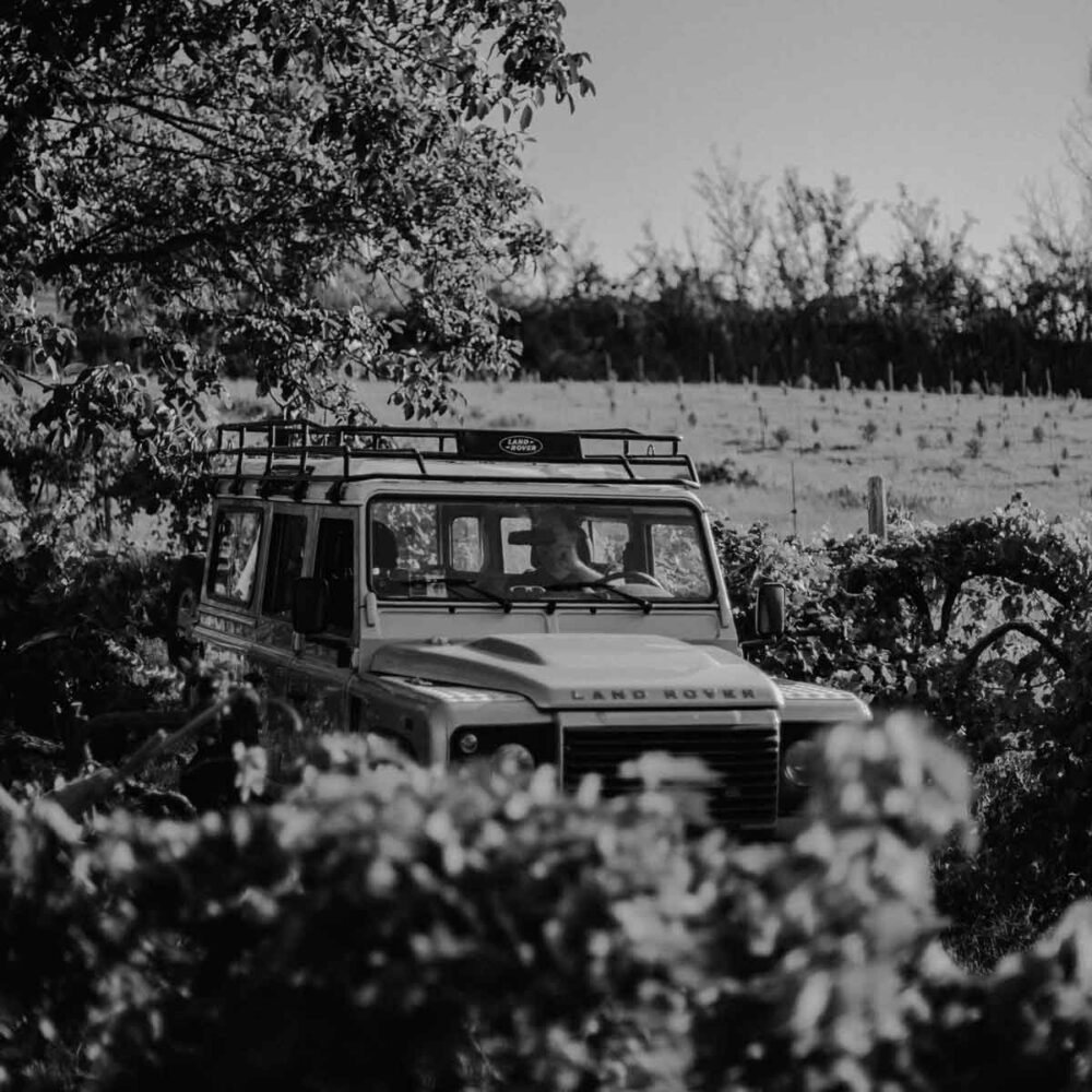 caccianemici-quadrata-8-1200