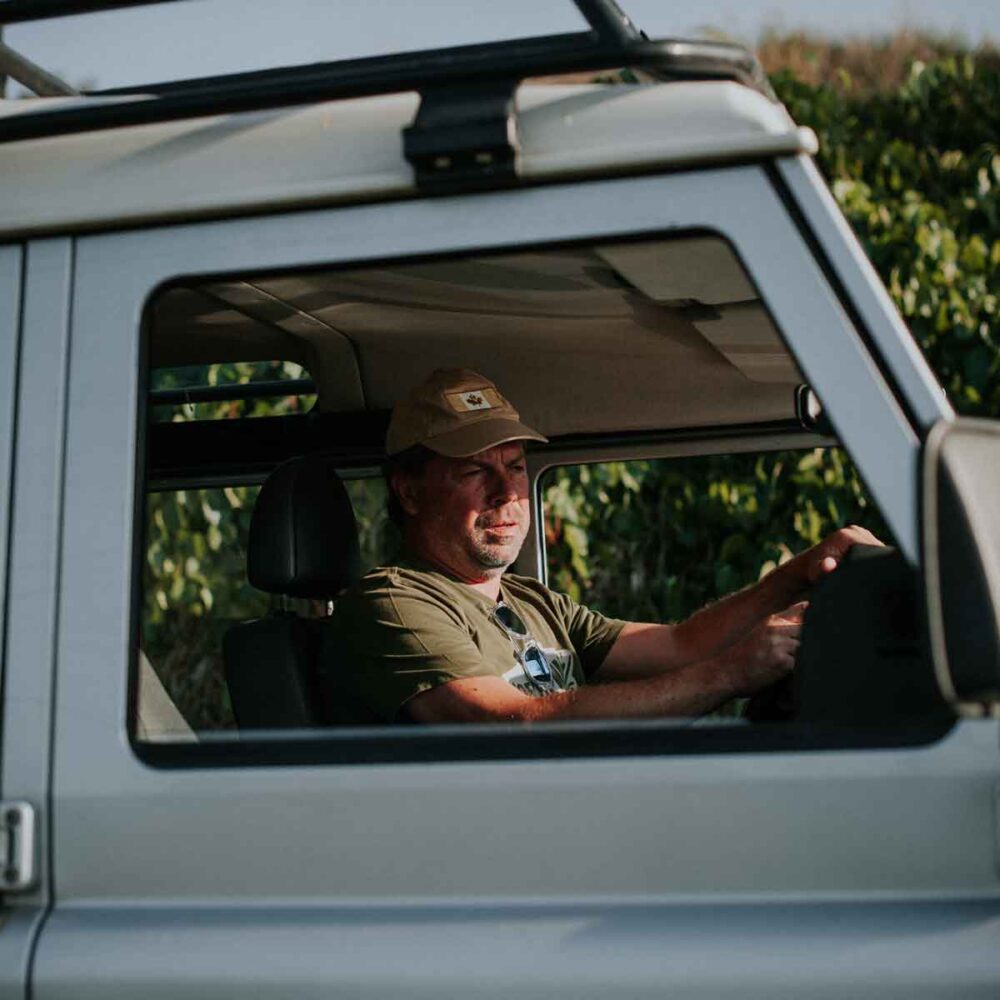 quadrata-color-2-caccianemici