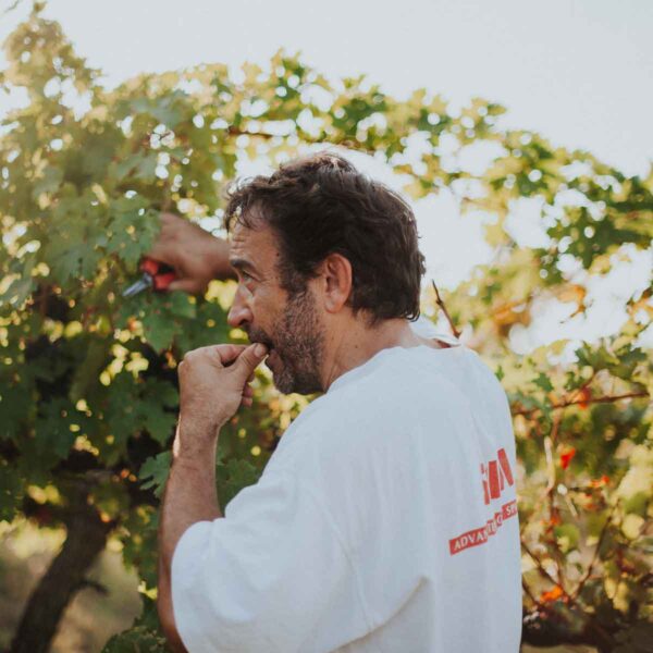 quadrata-color-4-caccianemici