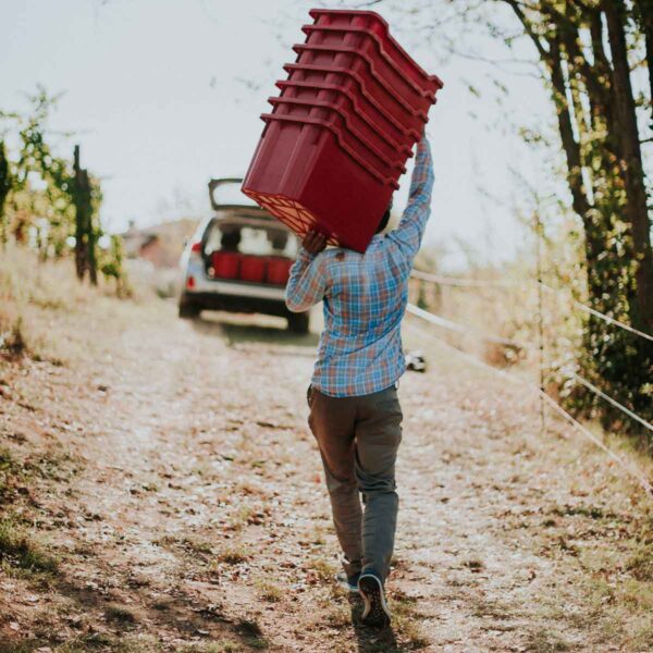 quadrata-color-5-caccianemici