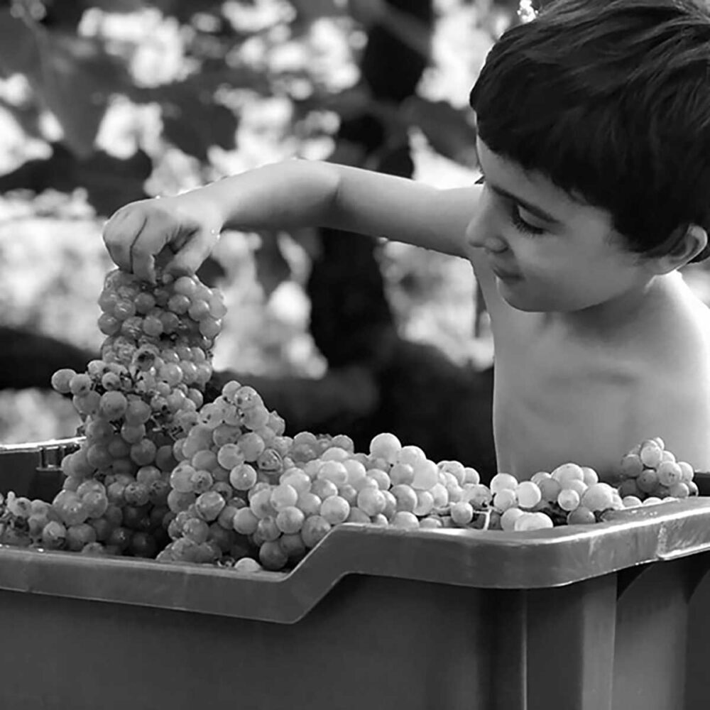 foto-bimbo-caccianemici-uva-min-xl