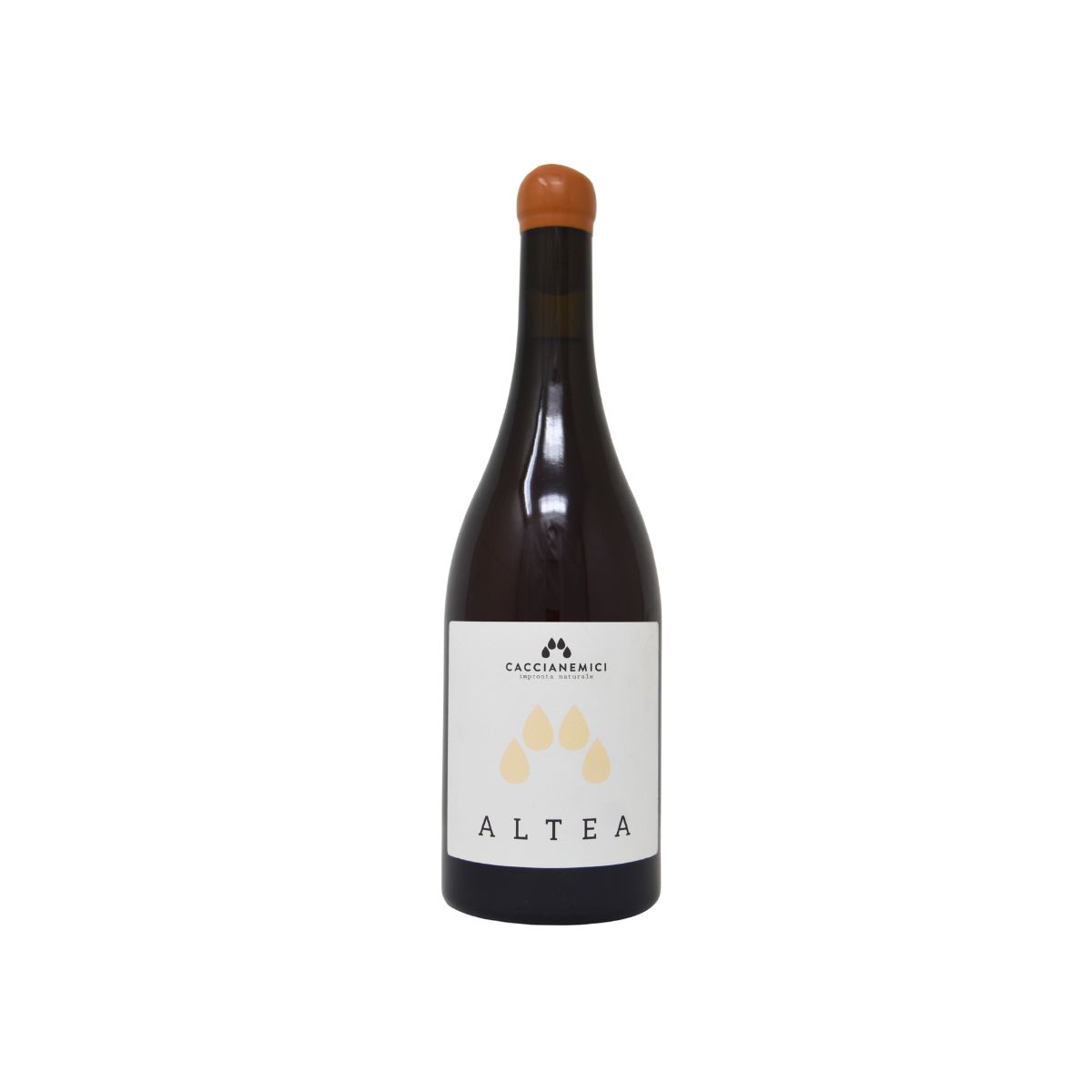 ALTEA - Novità 2026